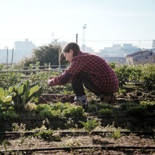 Gartenarbeit