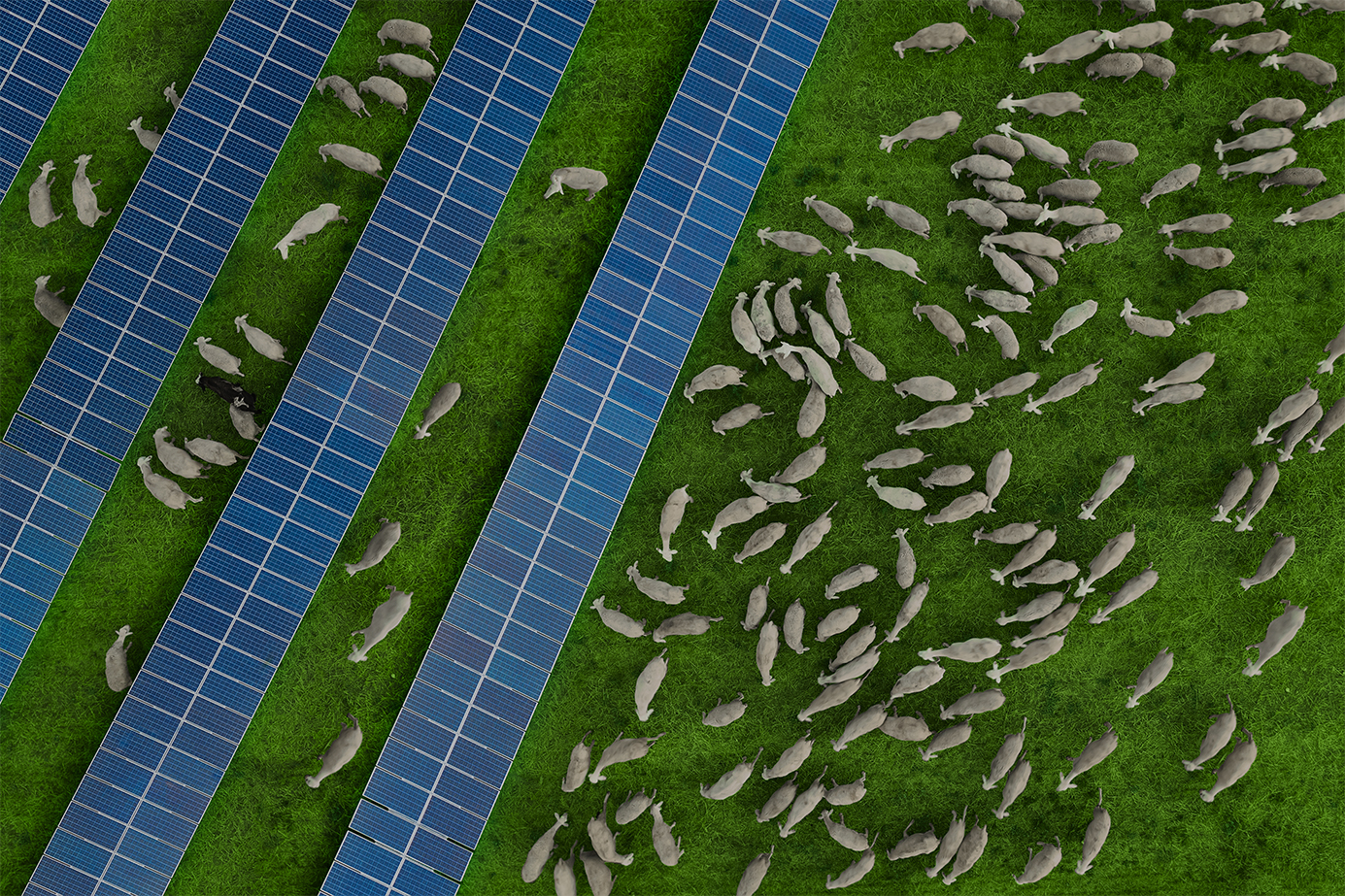 Agri-PV: Klima- & Landwirtschafts-Boost